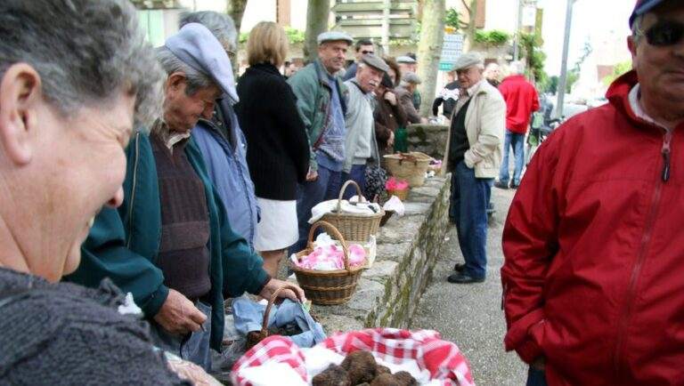 trüffelmarkt in quercy frankreich