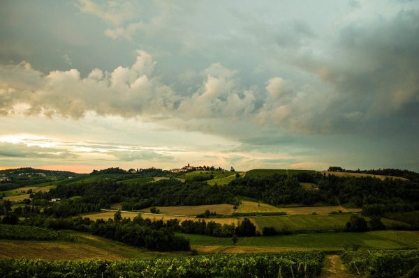 quercy trüffel frankreich perigord